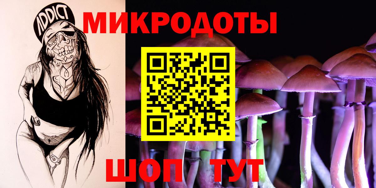 Галлюциногенные грибы Psilocybine cubensis Отрадный