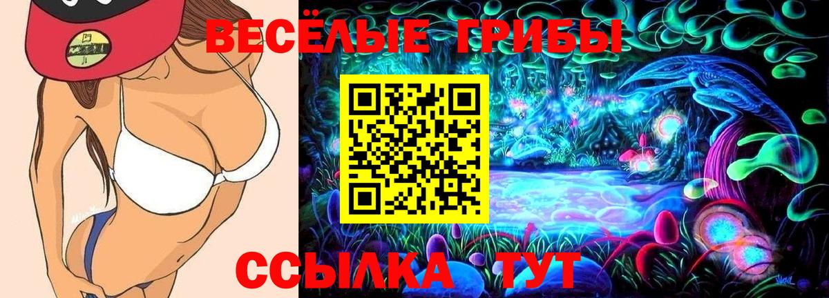 Псилоцибиновые грибы Psilocybine cubensis  Галлюциногенные грибы мухоморы  Отрадный  Вход с VPN 